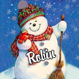 Meet your Posher, Robin